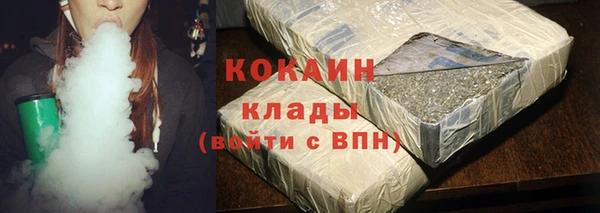 дмт Мегион